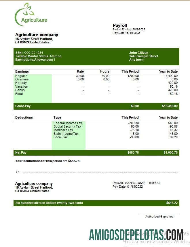 Em branco Modelo de folha de pagamento de empresa agrícola em formatos Word e PDF